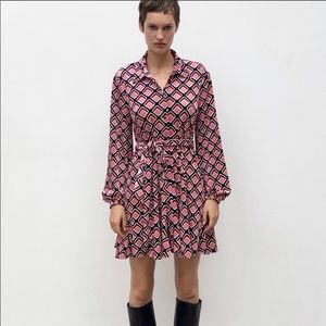 ZARA Printed Velvet Dress